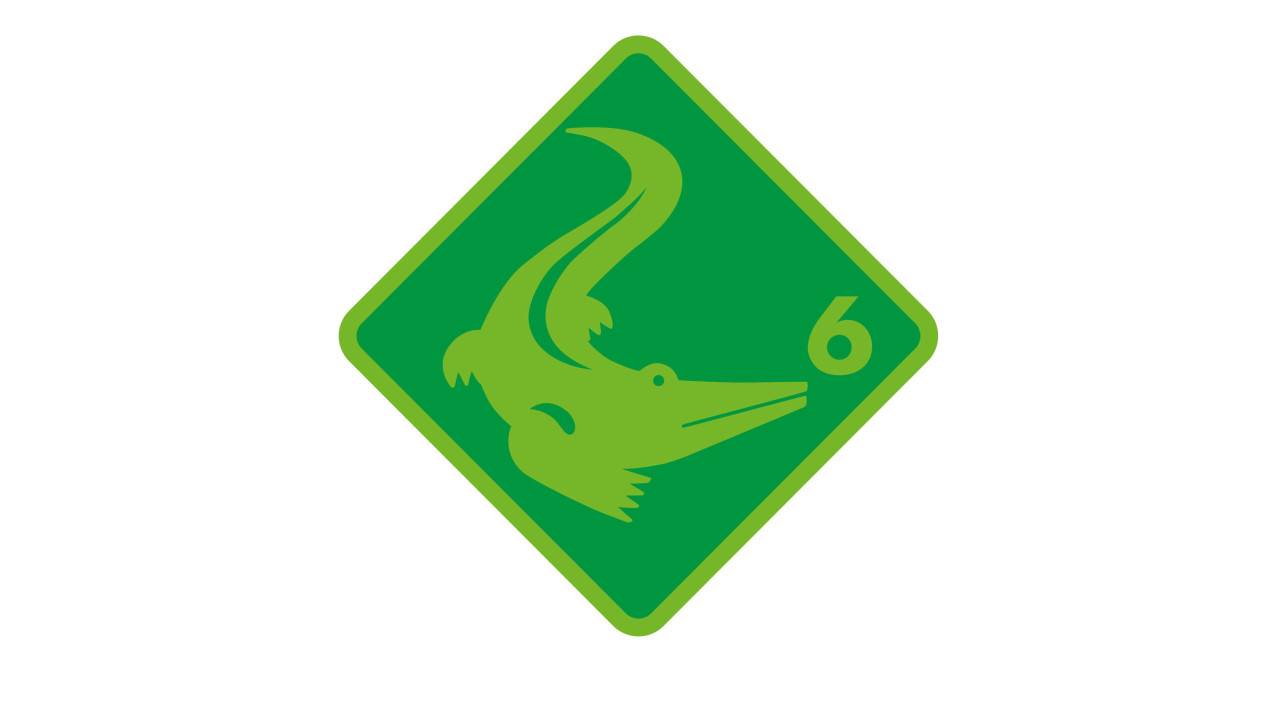 Stufe 6 - Krokodil
