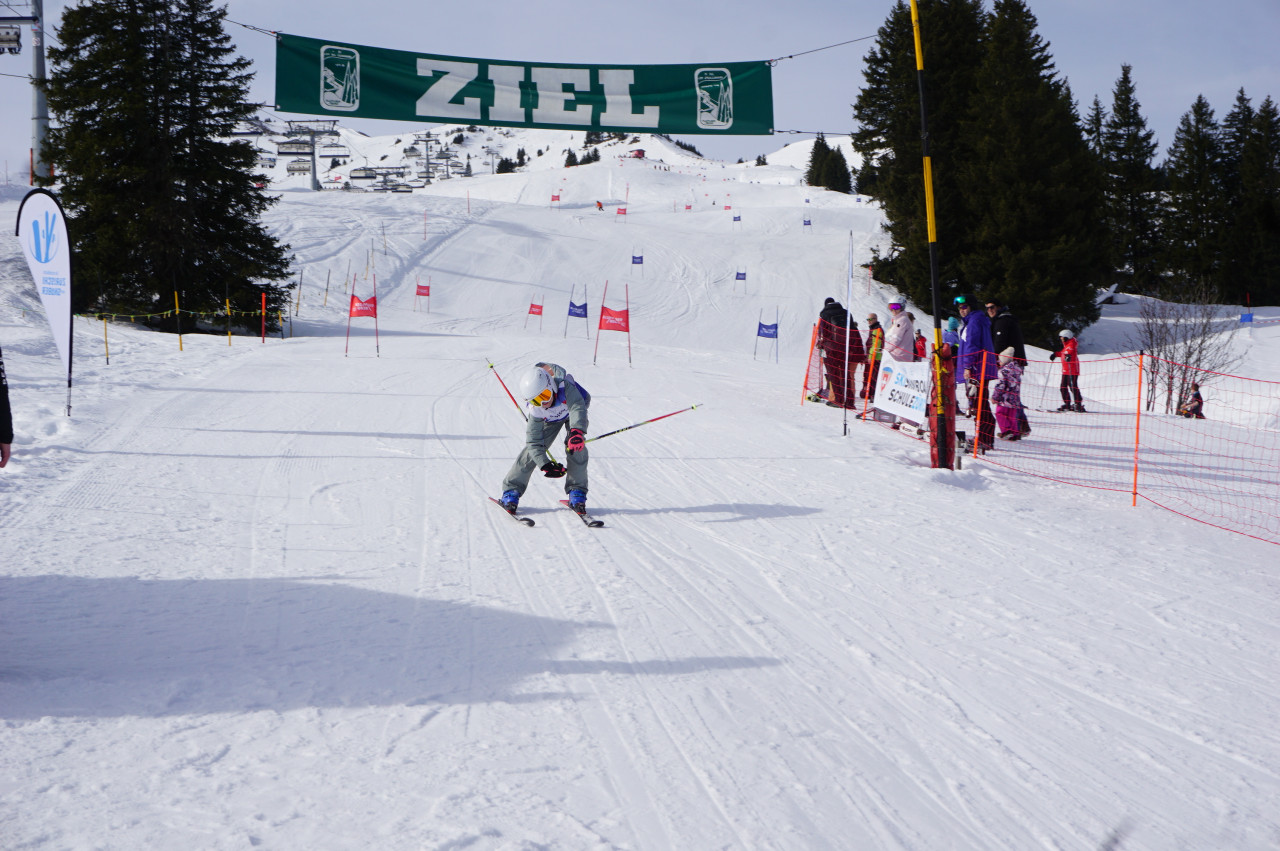 Zürischi/Zürisnöber