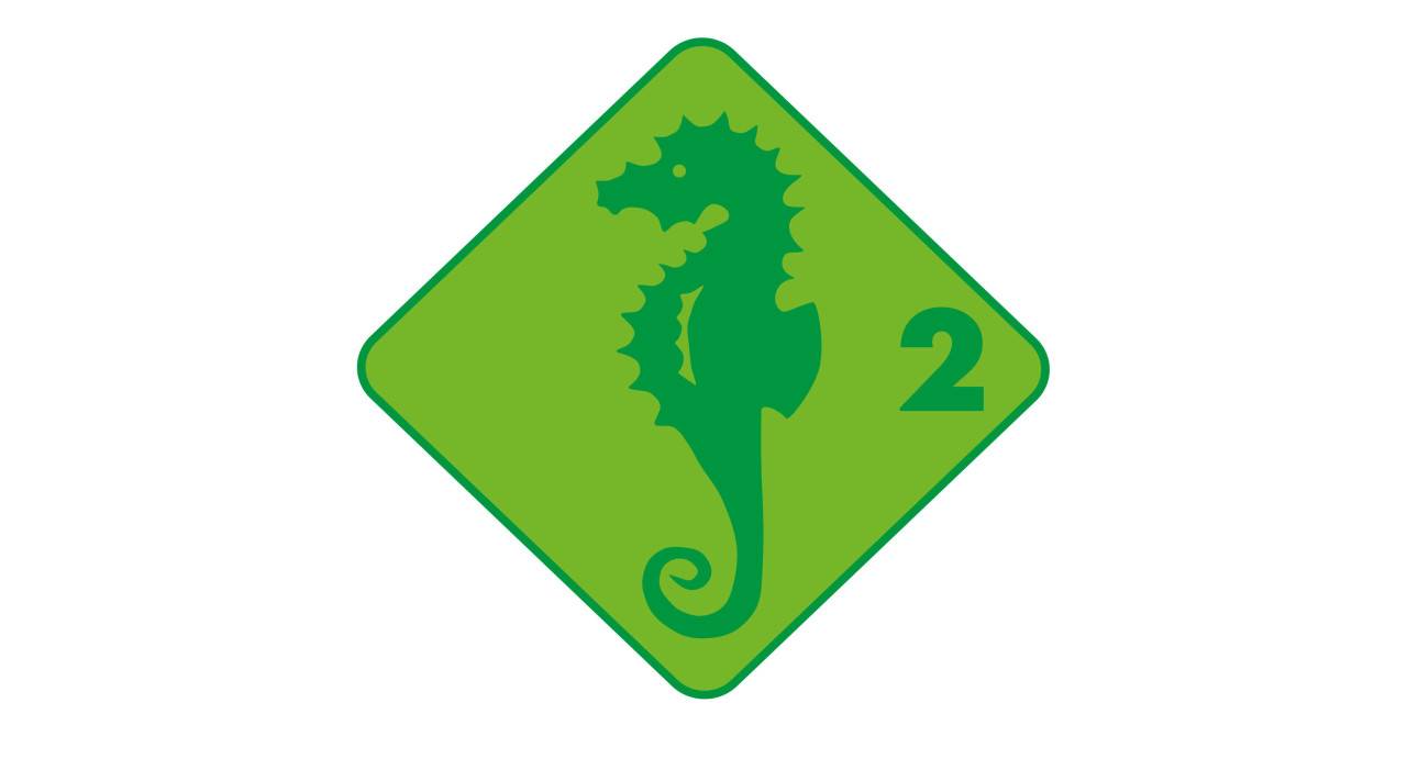 Stufe 2 - Seepferd
